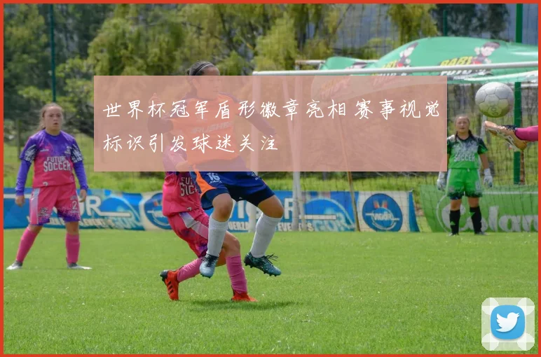 世界杯冠军盾形徽章亮相 赛事视觉标识引发球迷关注