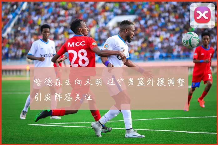 哈德森去向未明 辽宁男篮外援调整引发阵容关注