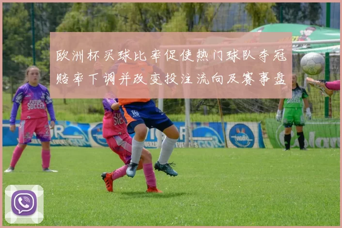欧洲杯买球比率促使热门球队夺冠赔率下调并改变投注流向及赛事盘口